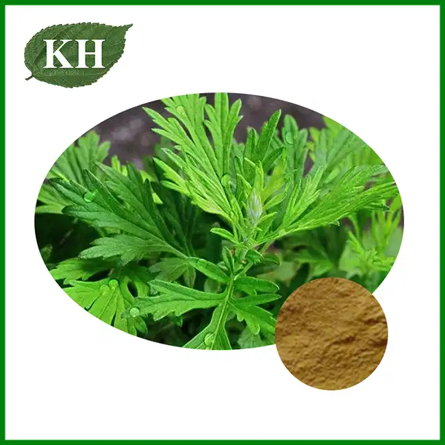 Artemisia Argyi Extract